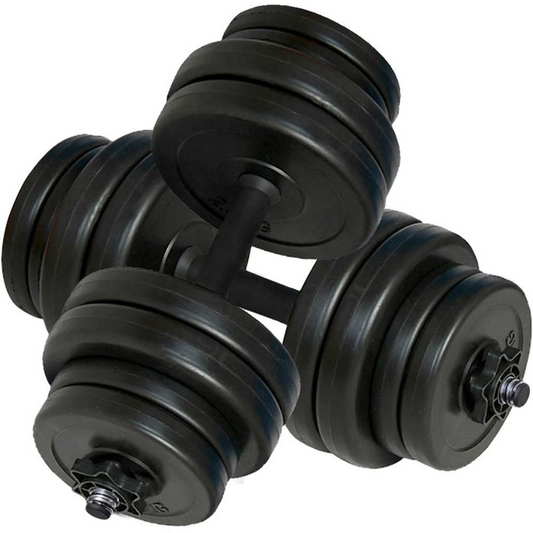 Dumbbells 66 lb